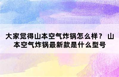 大家觉得山本空气炸锅怎么样？ 山本空气炸锅最新款是什么型号